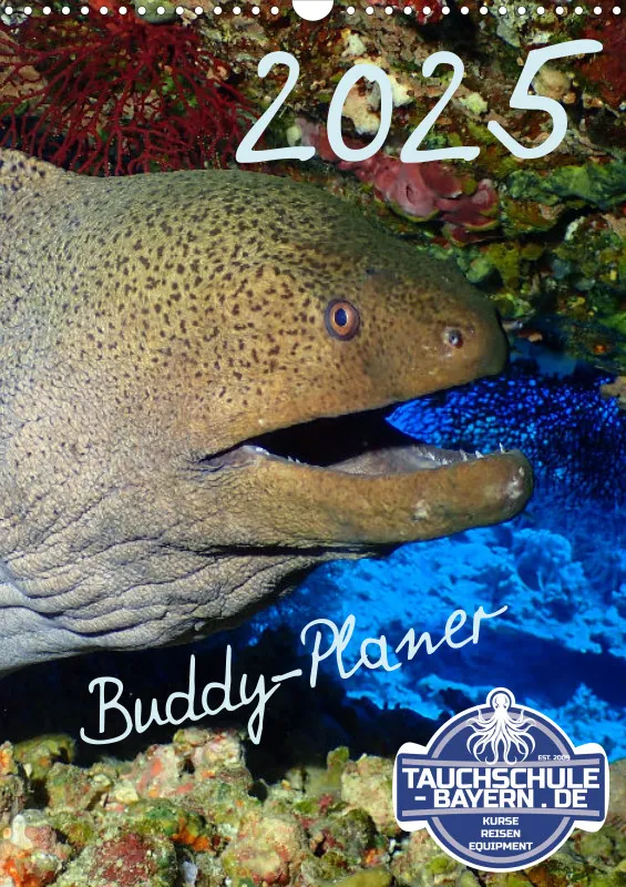 Familienplaner - Buddy-Kalender A3 Hochformat