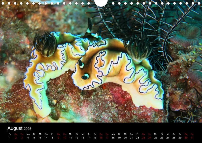 Makro & Critters - 2025 - Kalender A4