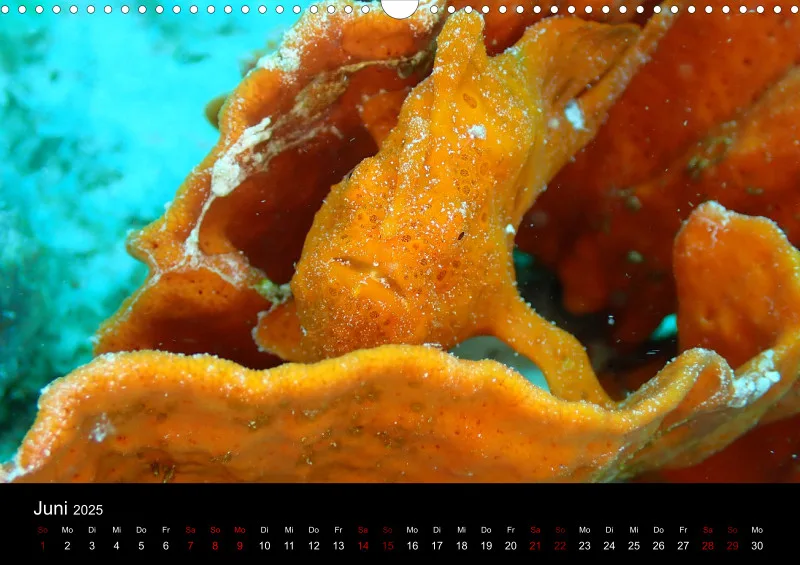 Scuba Diving - 2025 - Kalender A3