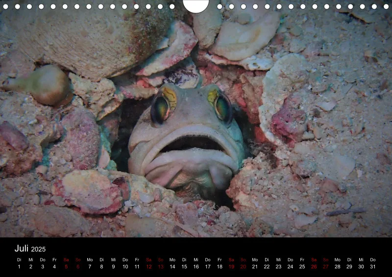 Scuba Diving - 2025 - Kalender A4