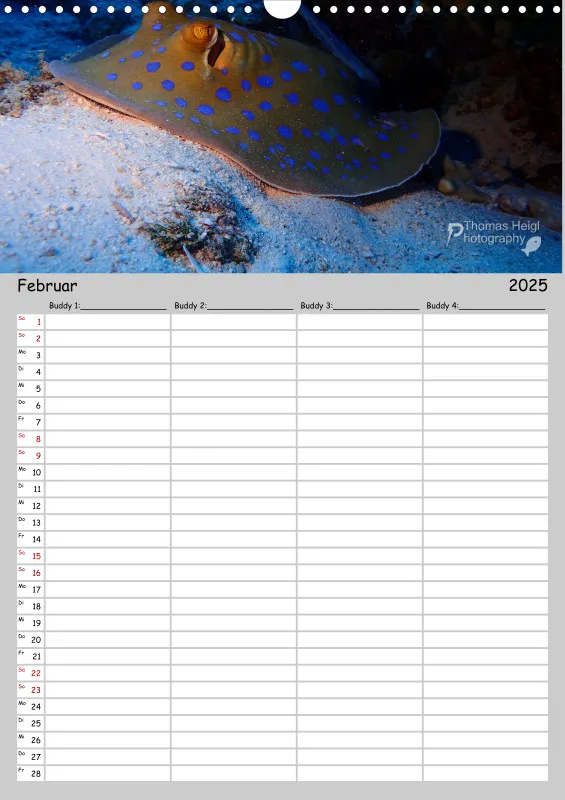 Familienplaner - Buddy-Kalender A3 Hochformat