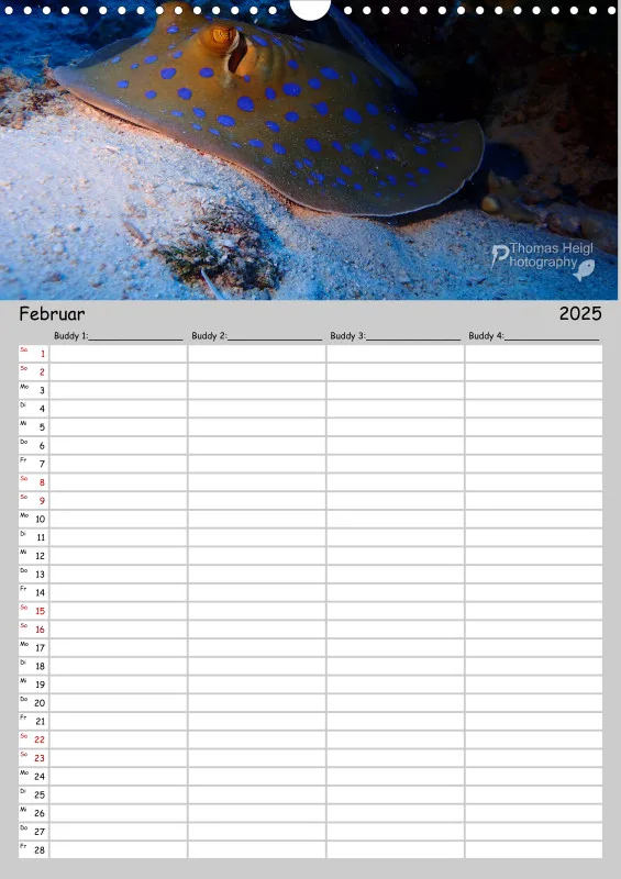 Familienplaner - Buddy-Kalender A3 Hochformat