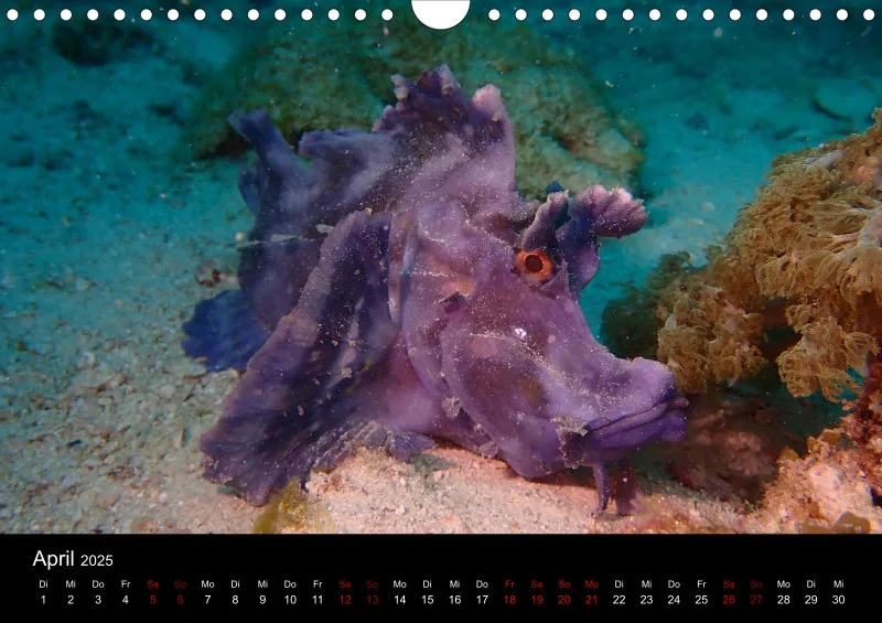 Scuba Diving - 2025 - Kalender A4