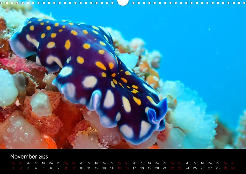Scuba Diving - 2025 - Kalender A3