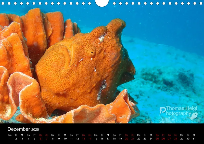 Makro & Critters - 2025 - Kalender A4
