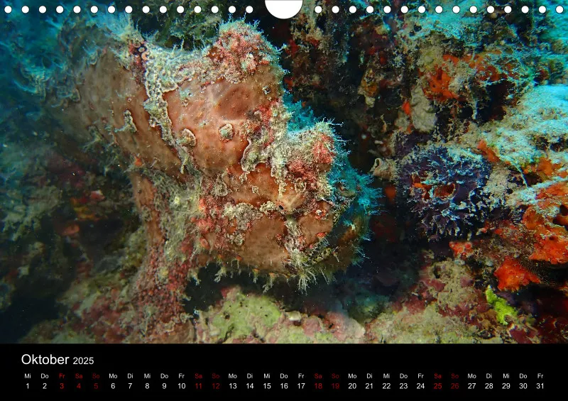 Scuba Diving - 2025 - Kalender A4