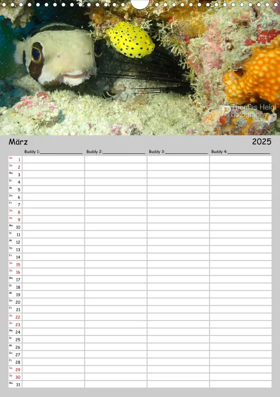 Familienplaner - Buddy-Kalender A3 Hochformat