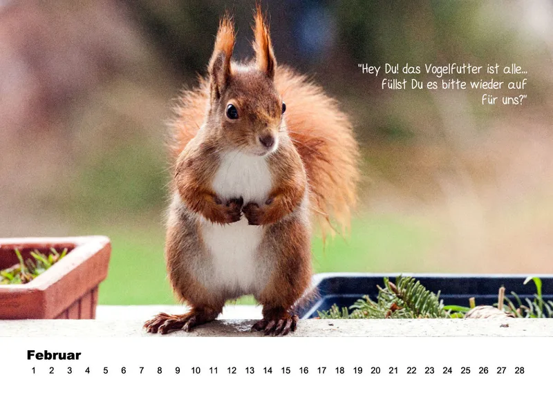 OHNE JAHR Kleine-Freunde-Kalender