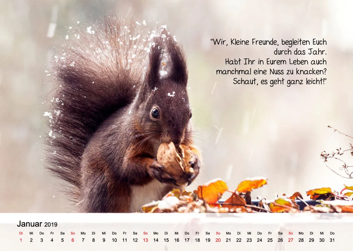 Kleine-Freunde-Kalender
