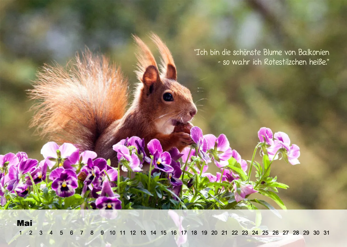 OHNE JAHR Kleine-Freunde-Kalender