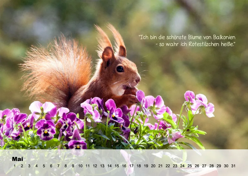OHNE JAHR Kleine-Freunde-Kalender