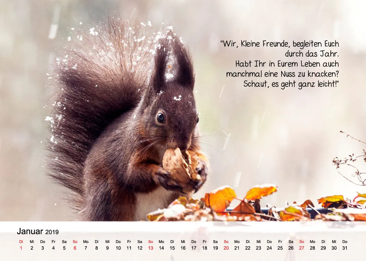 A4 Kleine Freunde 2019