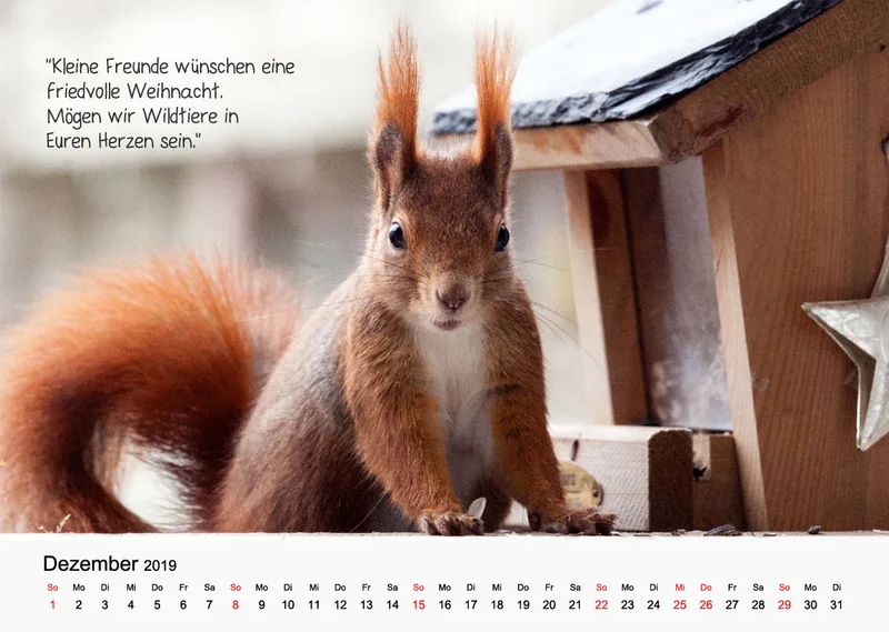 Kleine-Freunde-Kalender