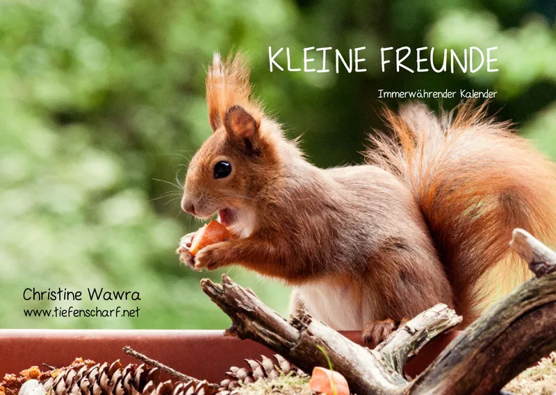 OHNE JAHR Kleine-Freunde-Kalender