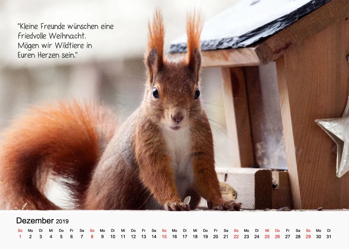 A4 Kleine Freunde 2019