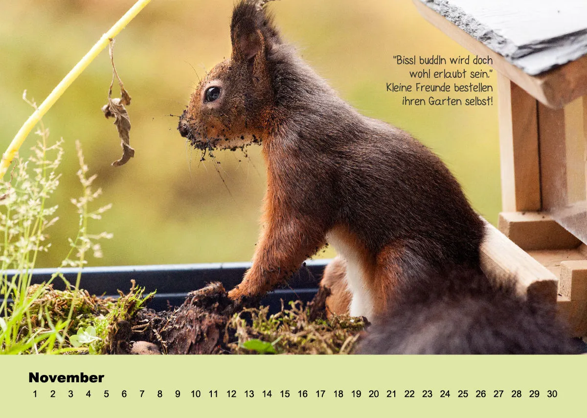 OHNE JAHR Kleine-Freunde-Kalender