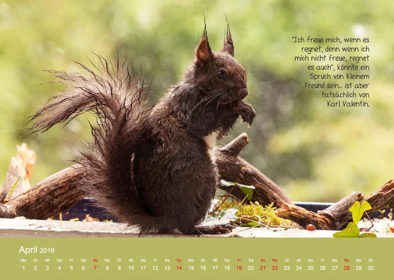 Kleine-Freunde-Kalender