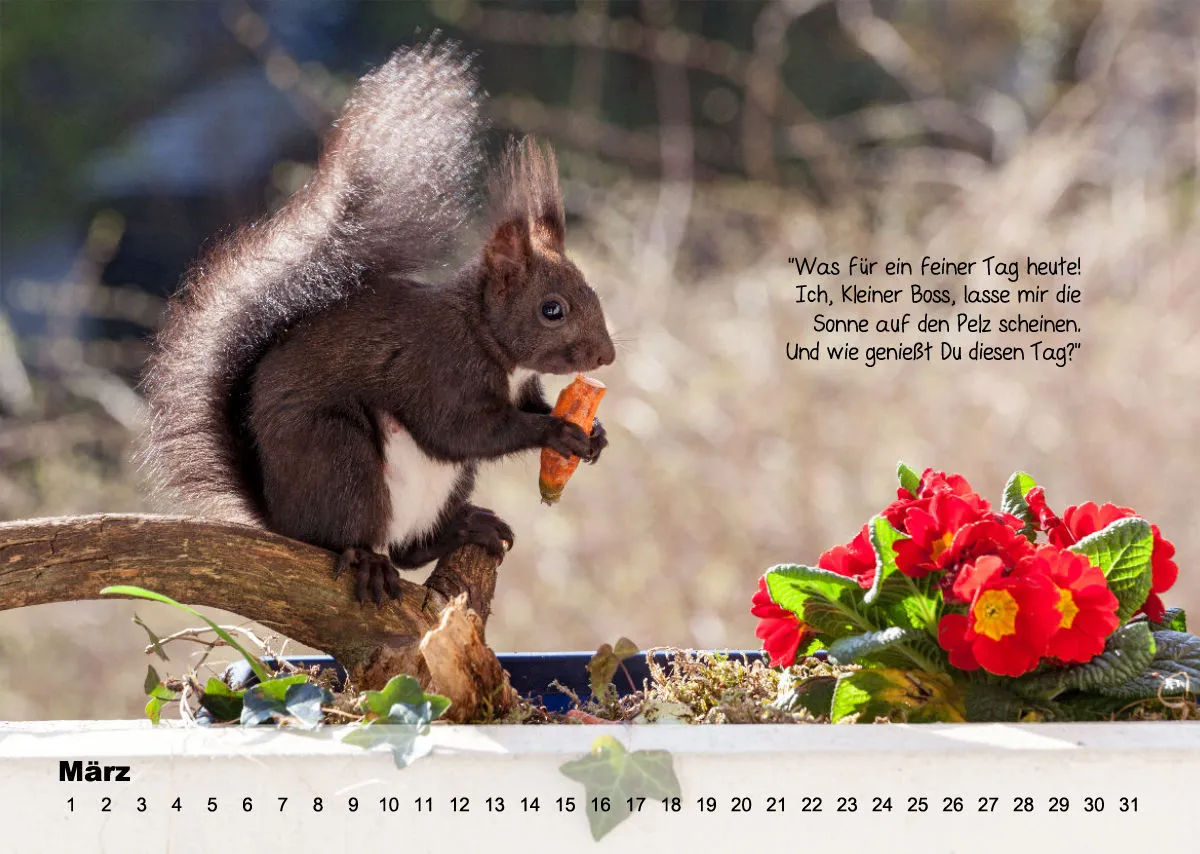 OHNE JAHR Kleine-Freunde-Kalender
