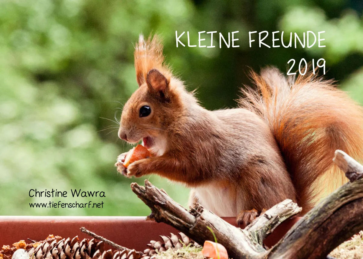 A4 Kleine Freunde 2019