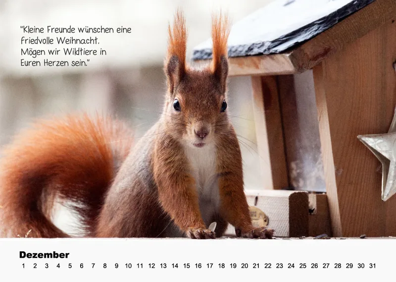 OHNE JAHR Kleine-Freunde-Kalender