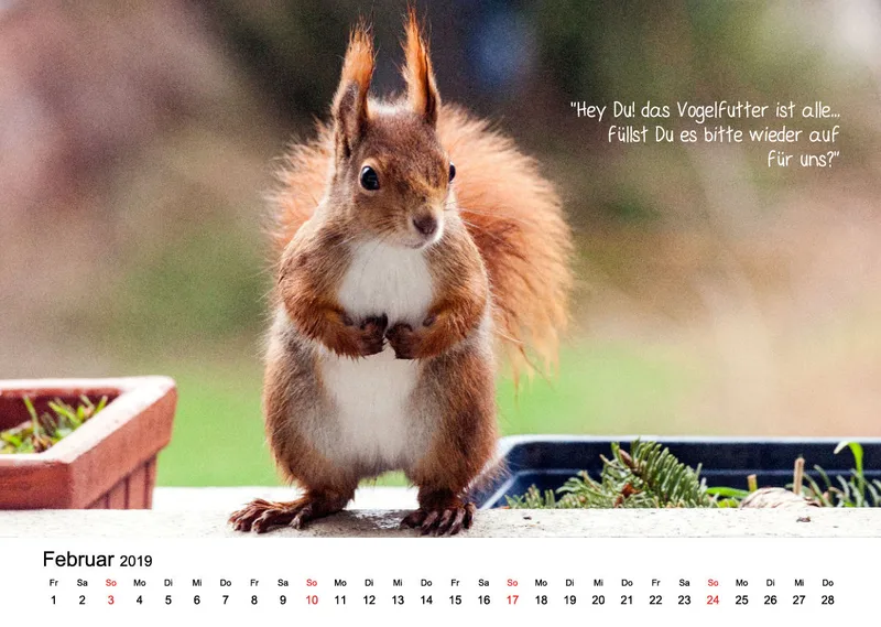 Kleine-Freunde-Kalender