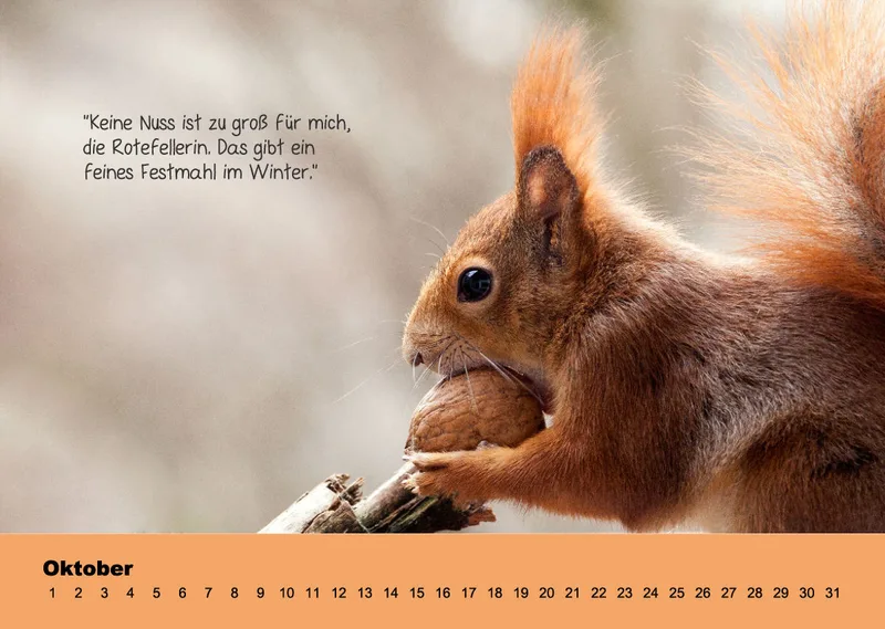 OHNE JAHR Kleine-Freunde-Kalender