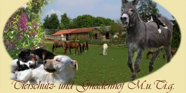 Tierhilfe M.u.Ti.g.