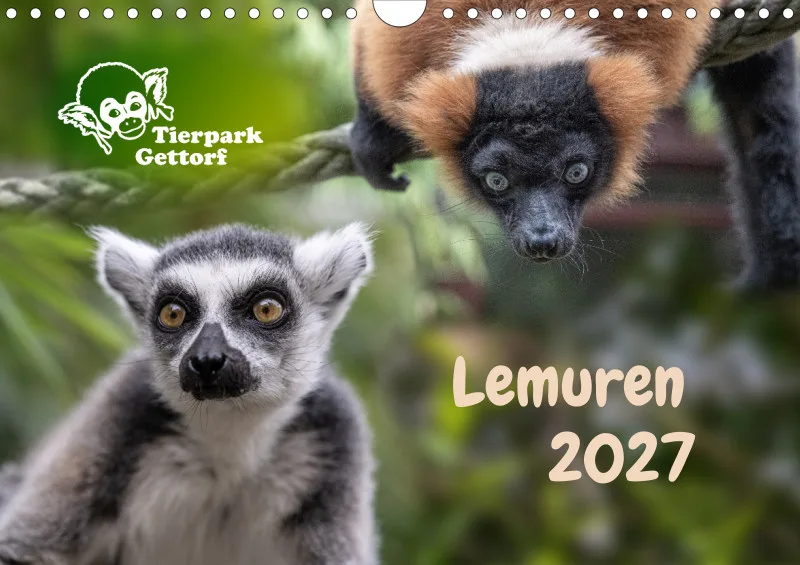 Lemuren_2027