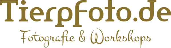 Tierpfoto