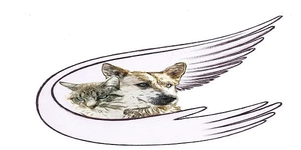 Tierschutzengel