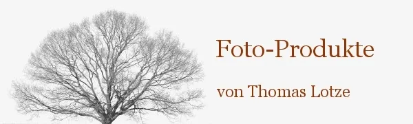 Thomas Lotze