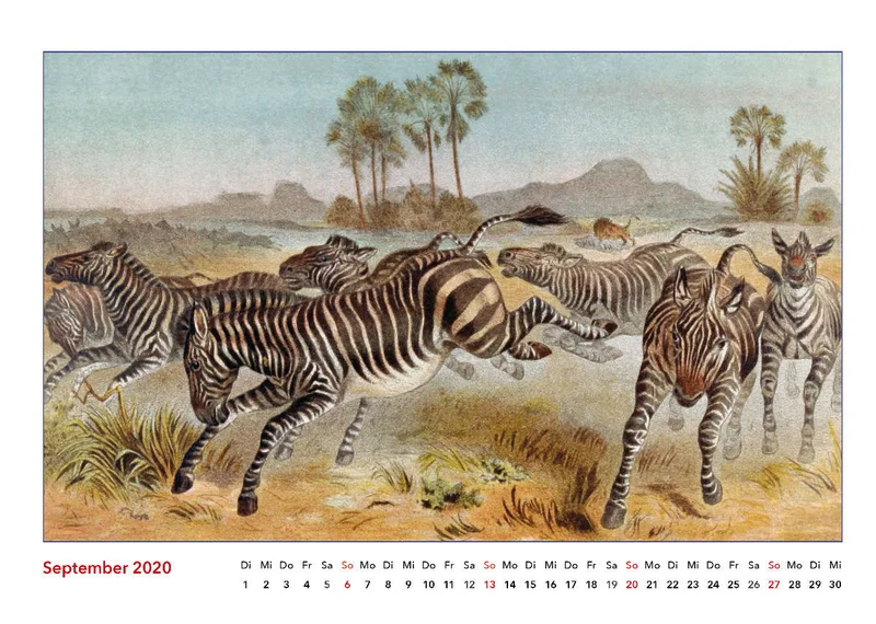 Brehms bunte Welt der Tiere 2020