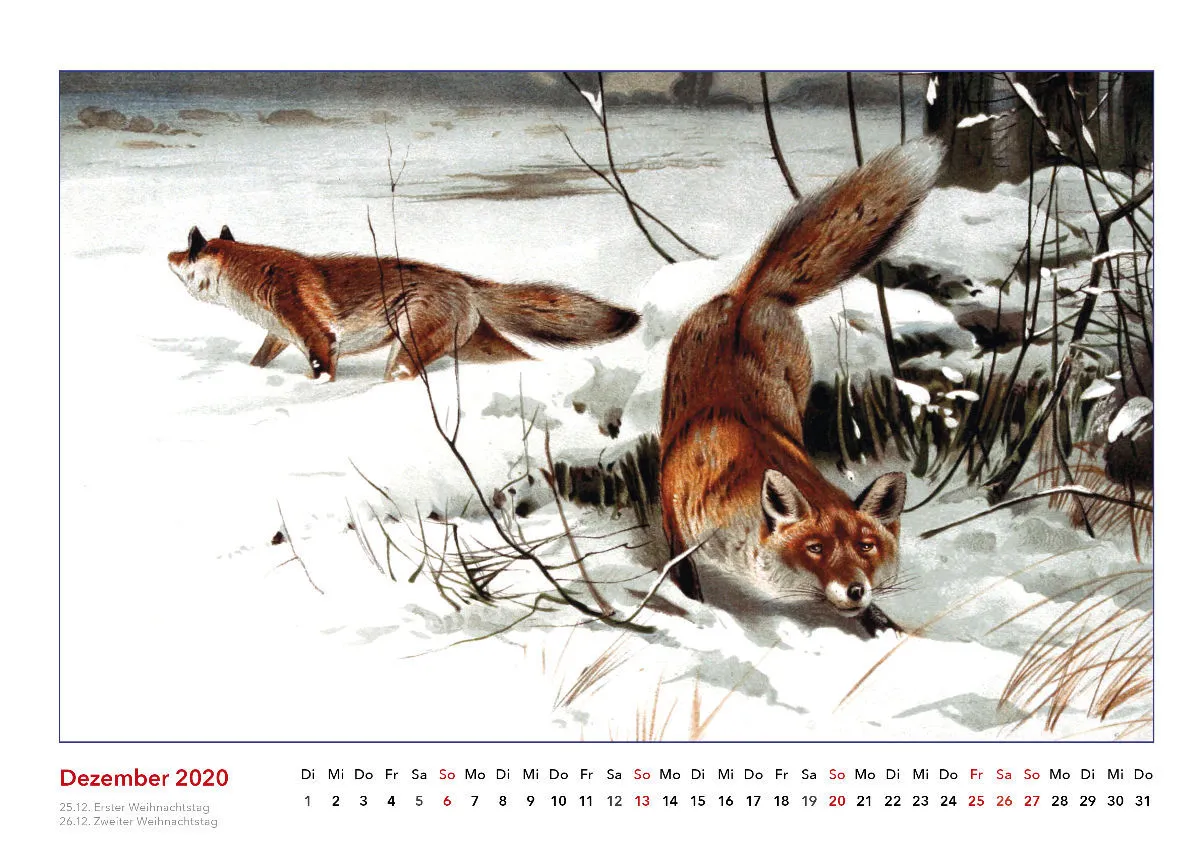 Brehms bunte Welt der Tiere 2020