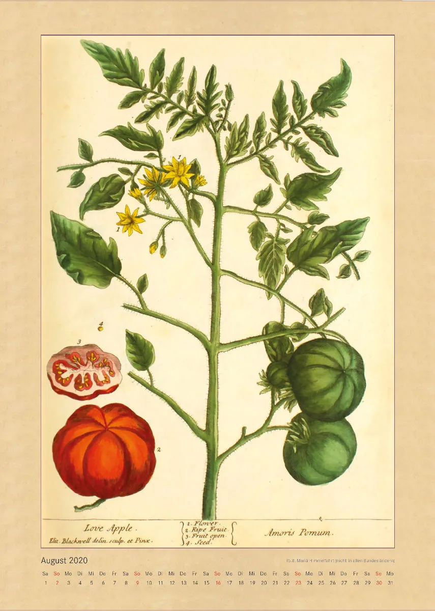 Kräuter und Früchte. Die schönsten Illustrationen aus Elizabeth Blackwells "Curious Herbal". 2020
