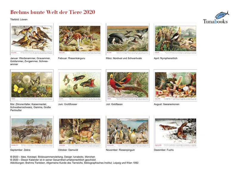 Brehms bunte Welt der Tiere 2020