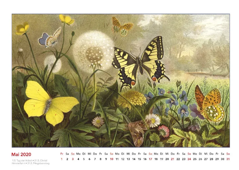 Brehms bunte Welt der Tiere 2020