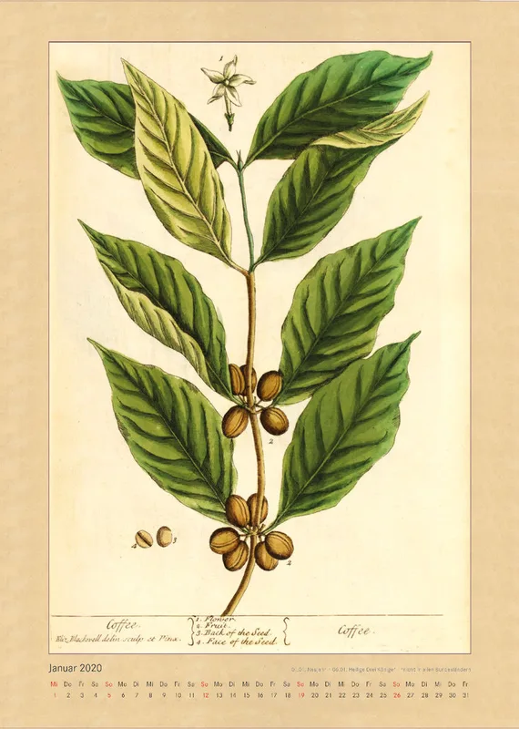 Kräuter und Früchte. Die schönsten Illustrationen aus Elizabeth Blackwells "Curious Herbal". 2020