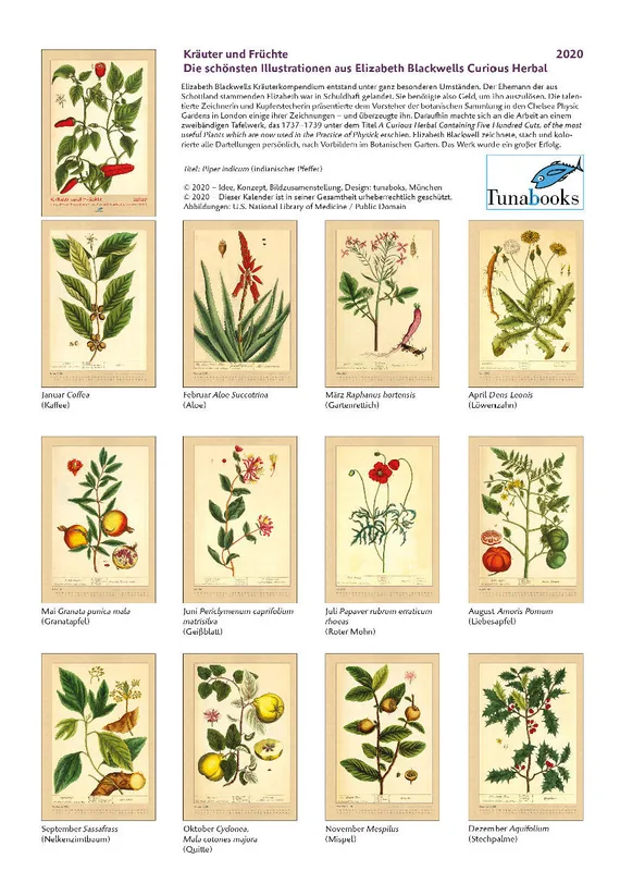 Kräuter und Früchte. Die schönsten Illustrationen aus Elizabeth Blackwells "Curious Herbal". 2020