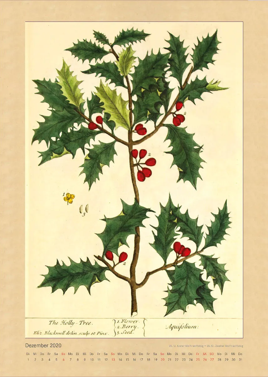 Kräuter und Früchte. Die schönsten Illustrationen aus Elizabeth Blackwells "Curious Herbal". 2020