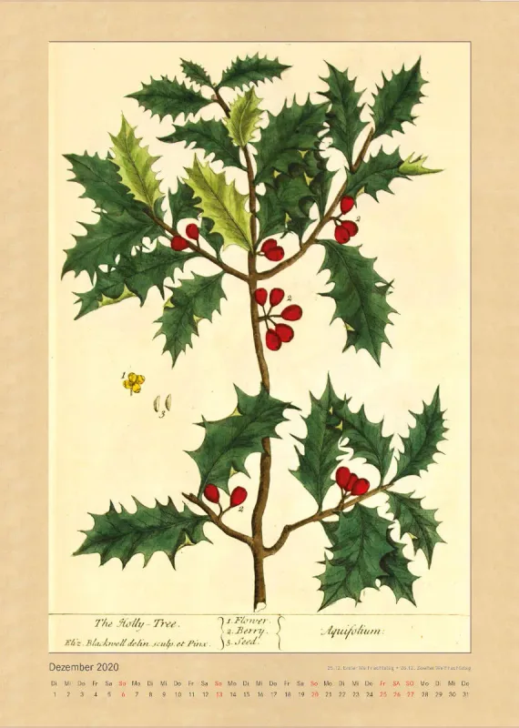 Kräuter und Früchte. Die schönsten Illustrationen aus Elizabeth Blackwells "Curious Herbal". 2020