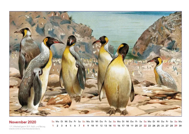 Brehms bunte Welt der Tiere 2020