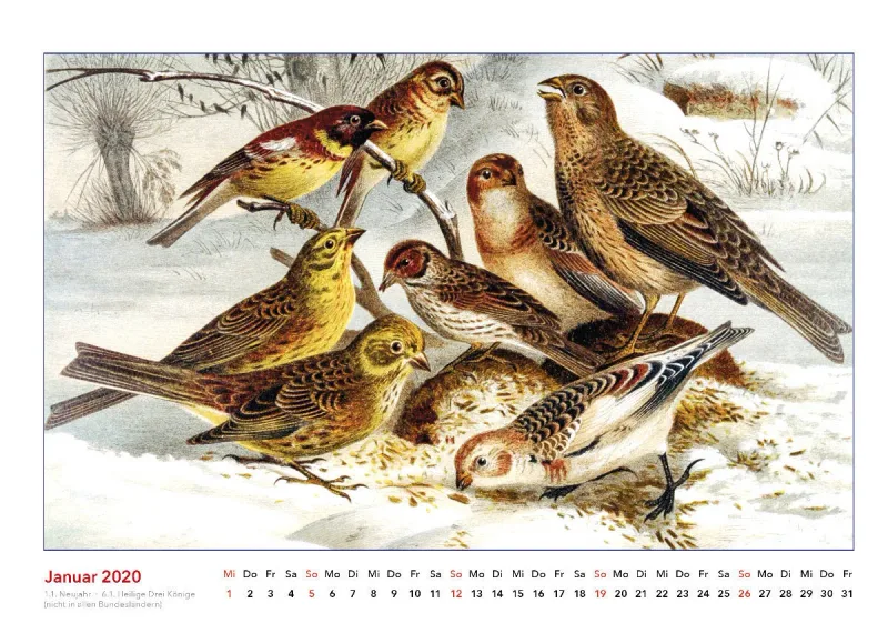 Brehms bunte Welt der Tiere 2020