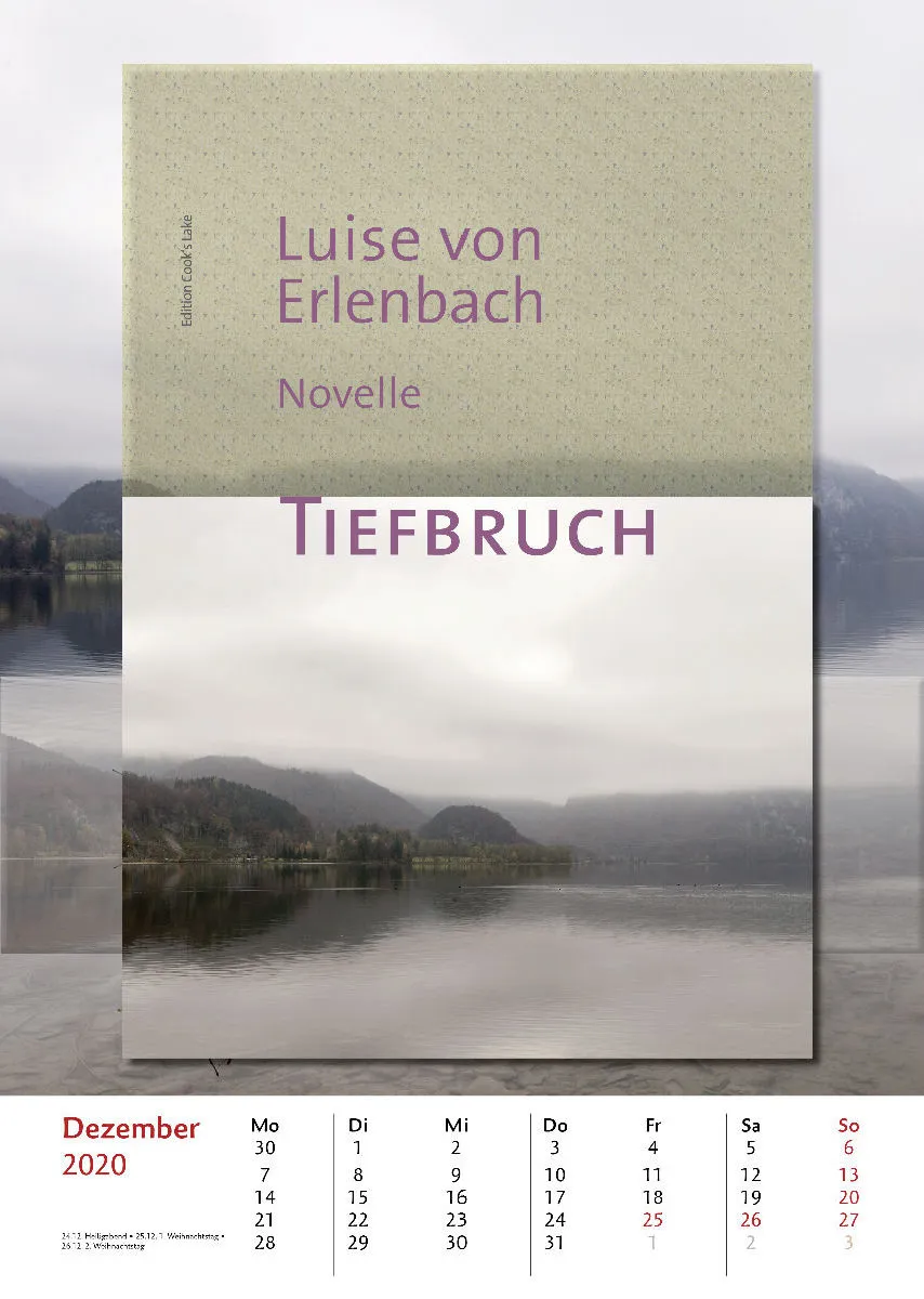 Bibliothek der vermissten Bücher. 2020
