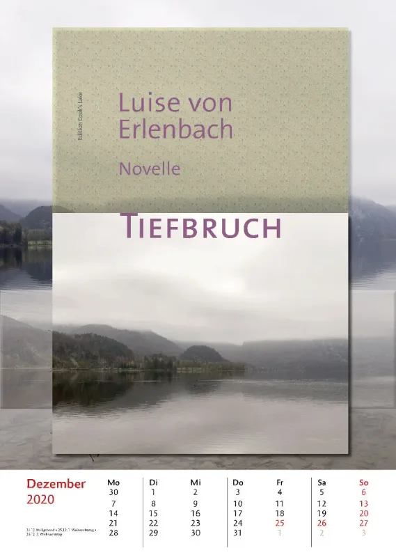 Bibliothek der vermissten Bücher. 2020