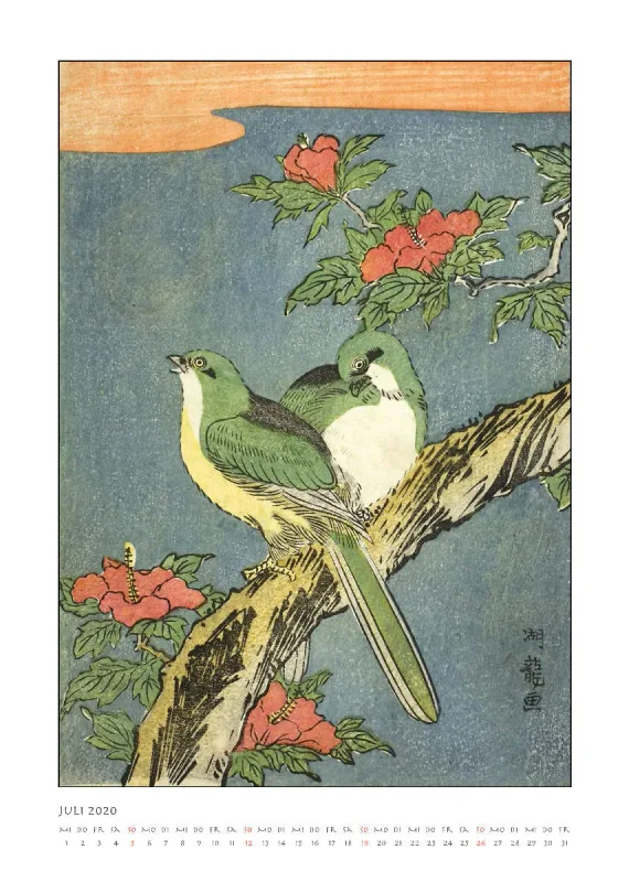 Die Eleganz der Vögel 2020