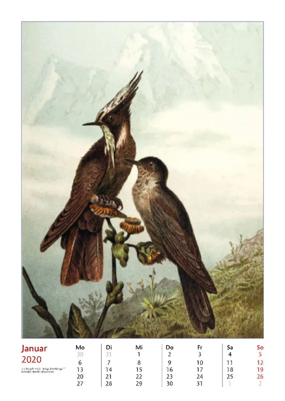Brehms bunte Welt der Vögel 2020