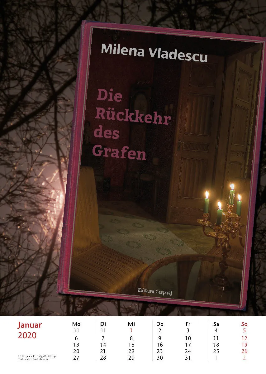 Bibliothek der vermissten Bücher. 2020