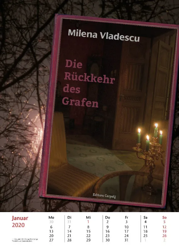 Bibliothek der vermissten Bücher. 2020
