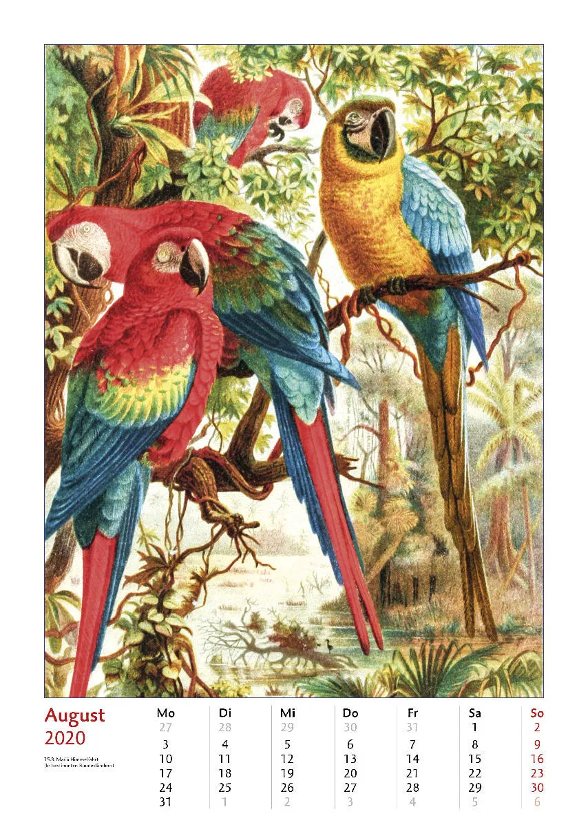 Brehms bunte Welt der Vögel 2020