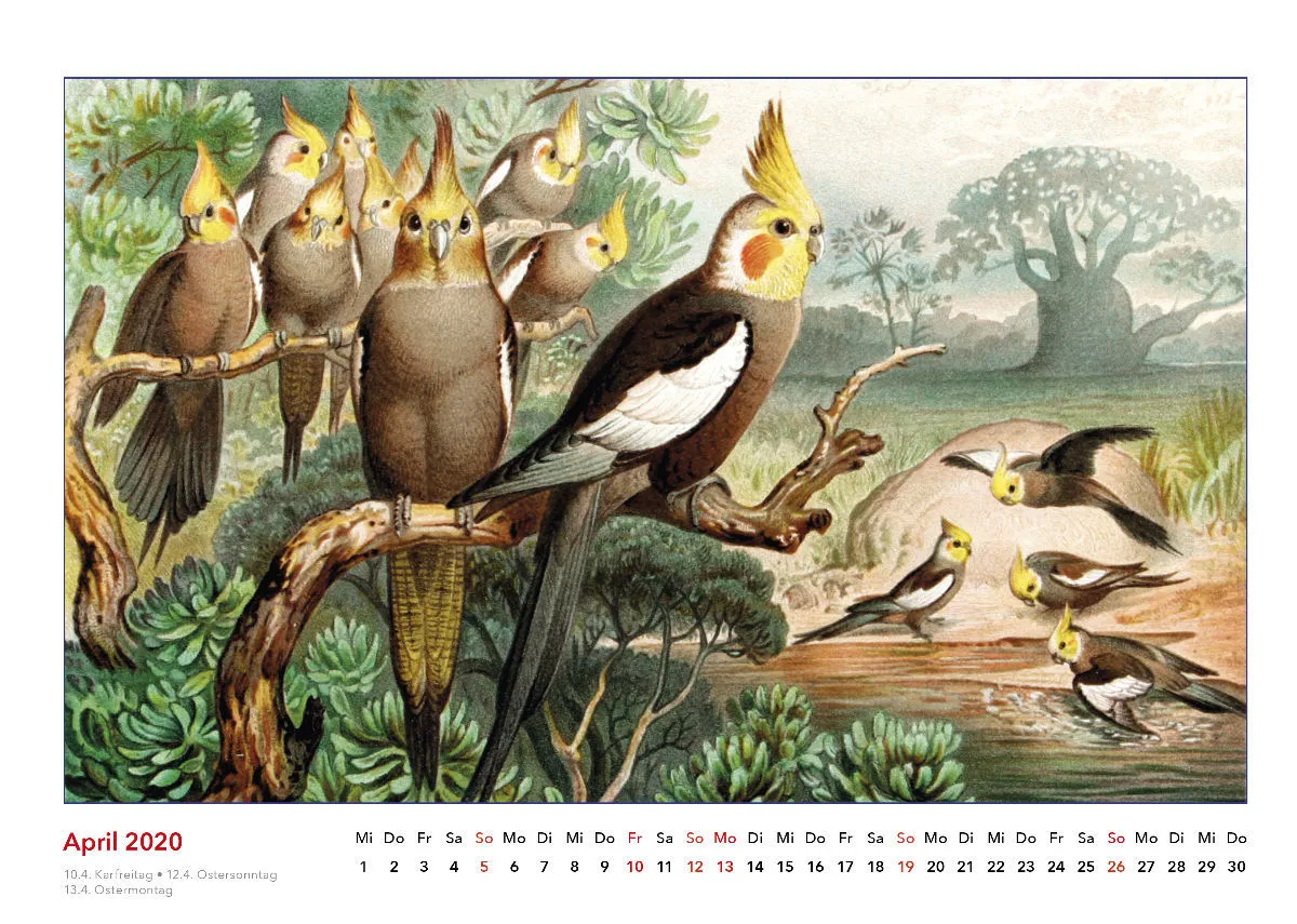 Brehms bunte Welt der Tiere 2020